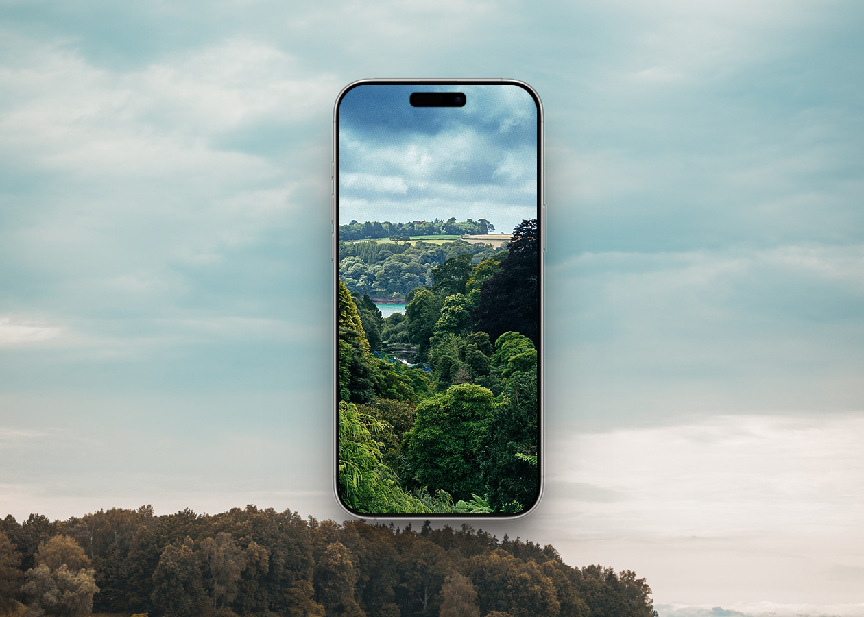 Dense green jungle