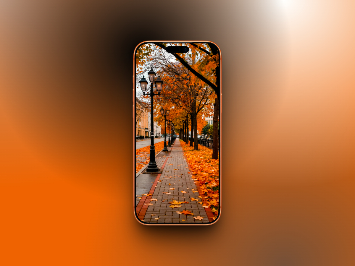 Orange Fall Leaves