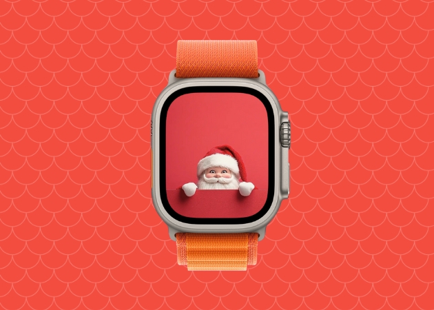 Peekaboo Santa