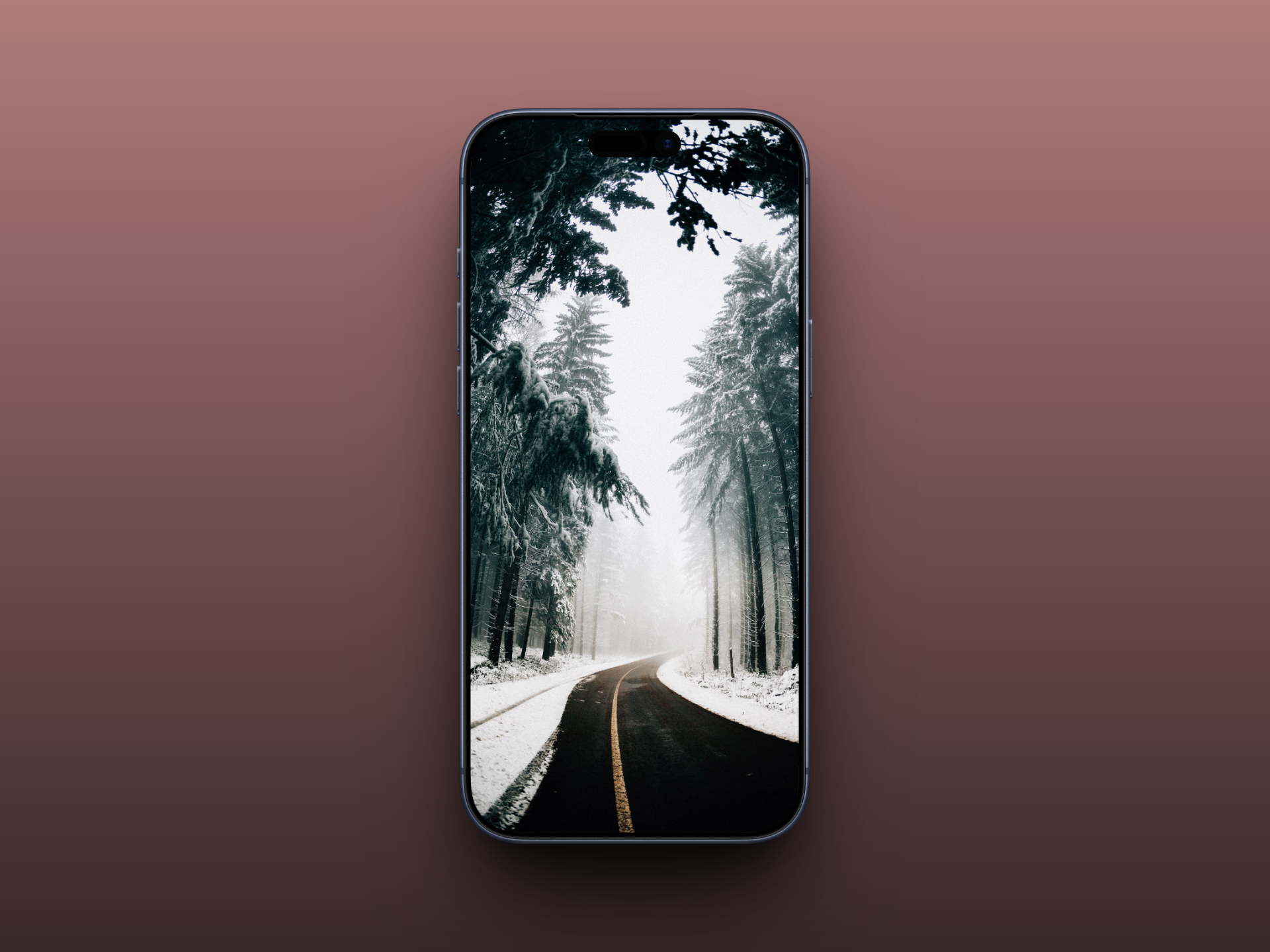 Snowy Forest Road