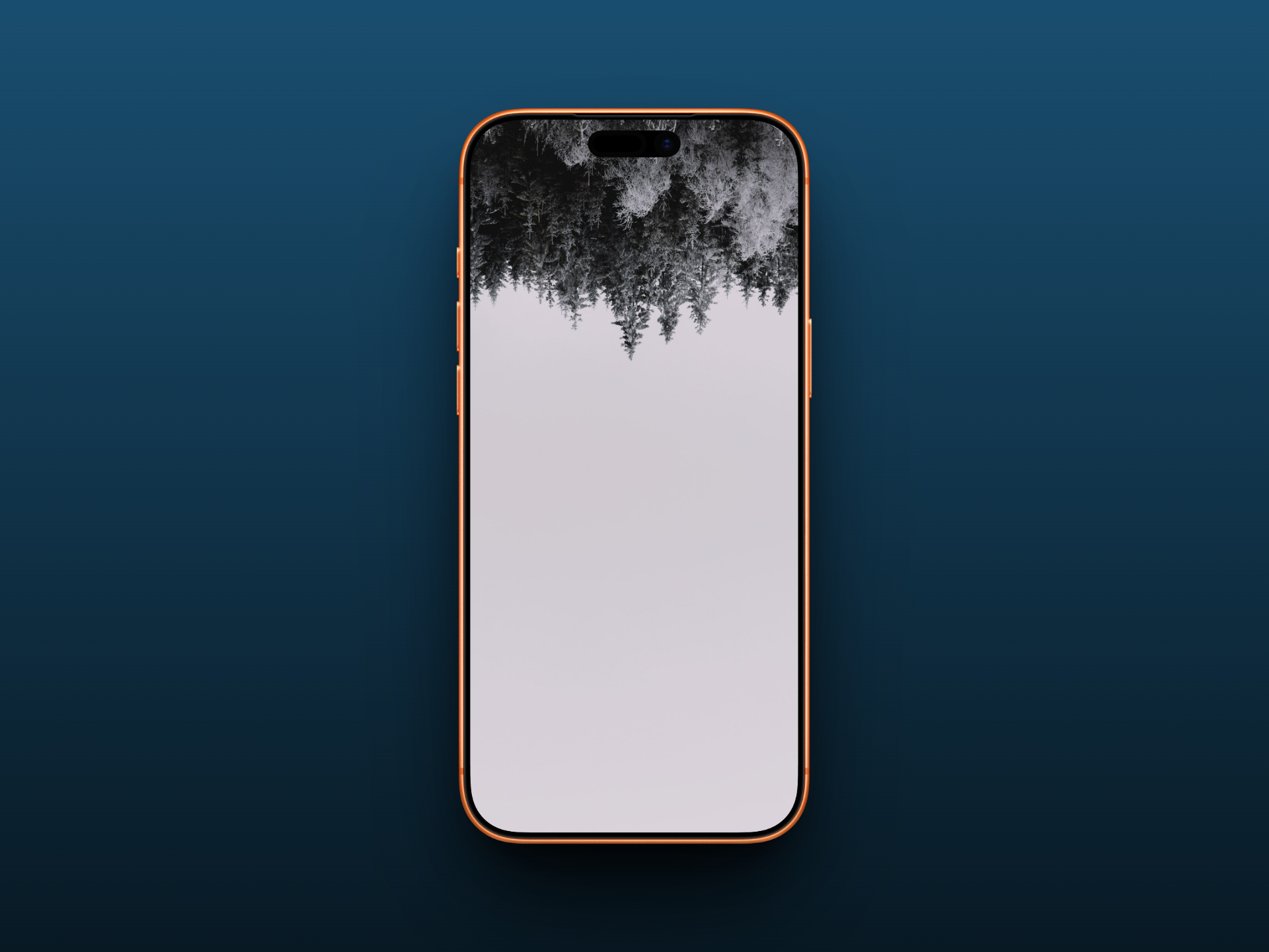 Upside-Down Snowy Forest