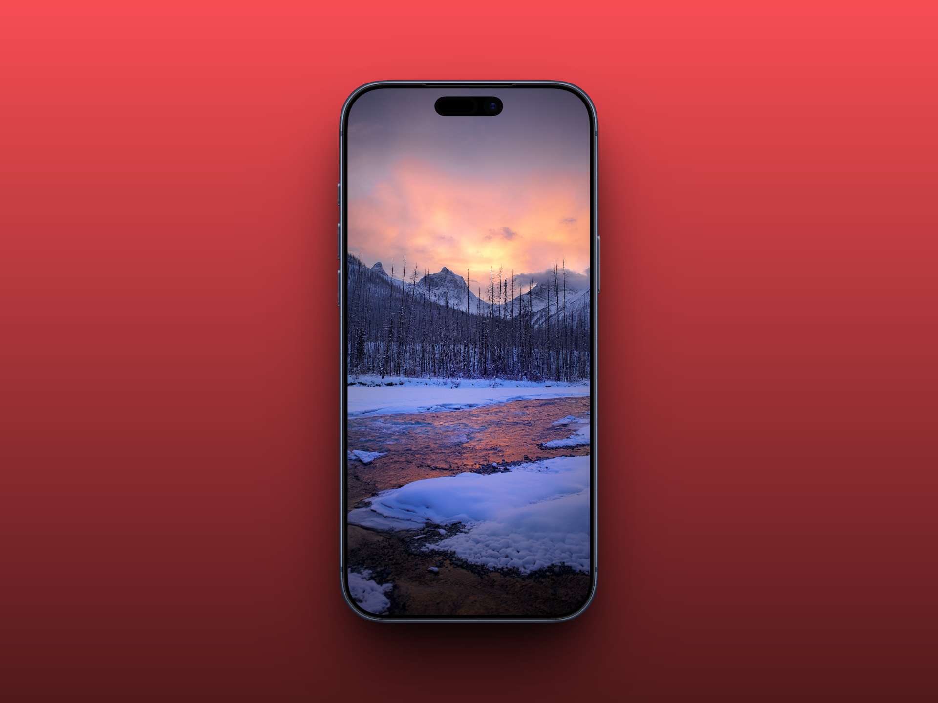 Winter Sunset Glow